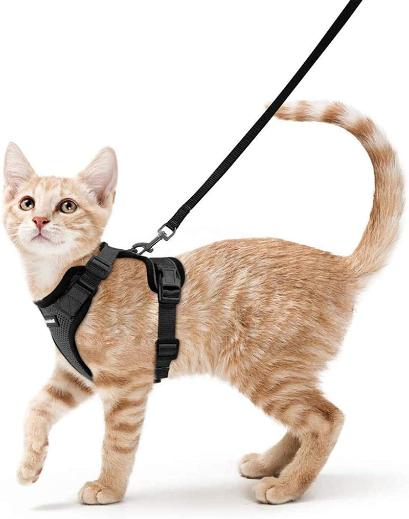 Vest for cats with adjustment for use and reflective for night walks