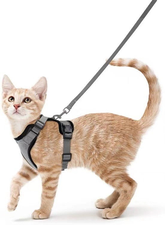 Vest for cats with adjustment for use and reflective for night walks