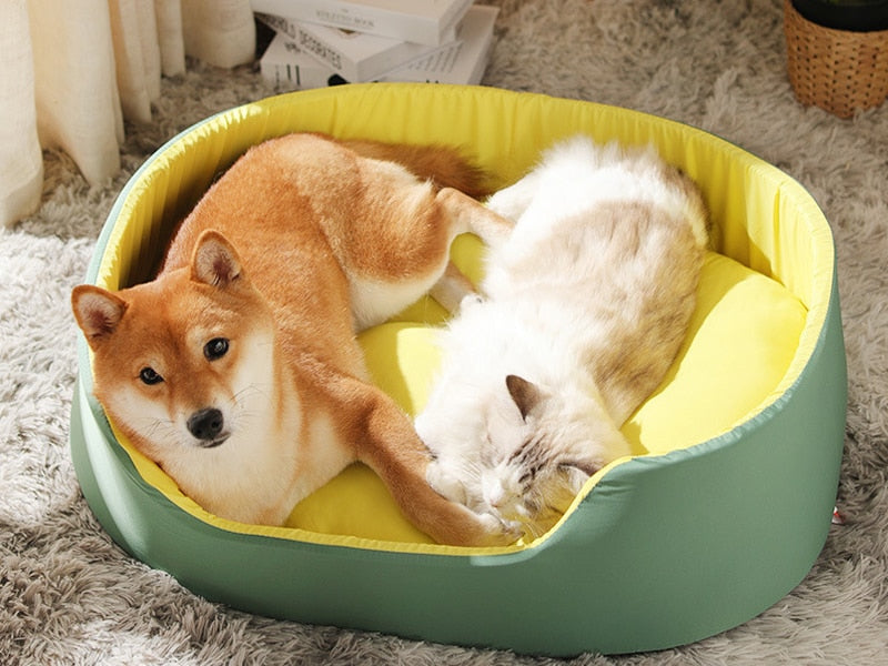 Bed for dogs from small to large, comfortable washable and very soft